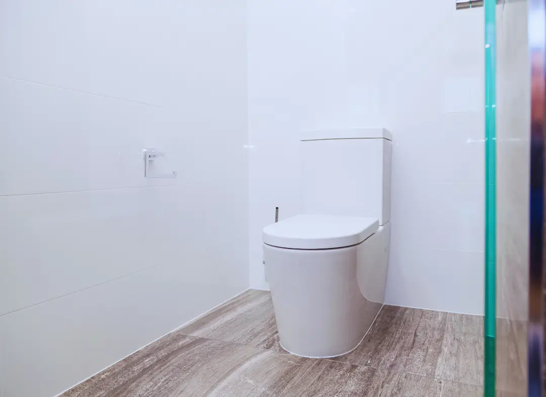 Remplacement de wc Saint-André-de-la-Roche